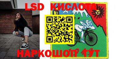кокс Боровичи
